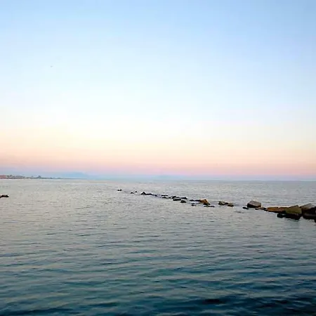 Salernow2